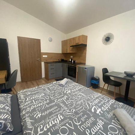 Cerna Ruze - Apartman 7 เปิลเซน ภายนอก รูปภาพ