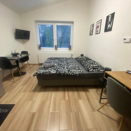 Cerna Ruze - Apartman 7 เปิลเซน ภายนอก รูปภาพ