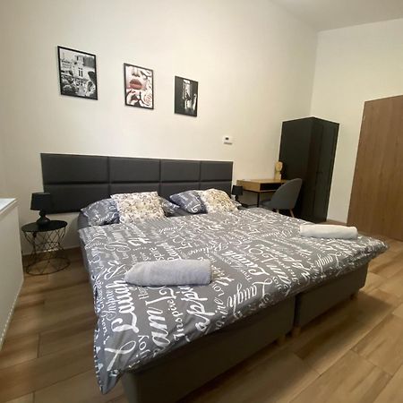 Cerna Ruze - Apartman 7 เปิลเซน ภายนอก รูปภาพ
