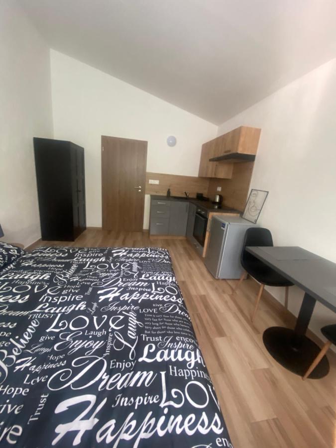 Cerna Ruze - Apartman 7 เปิลเซน ภายนอก รูปภาพ