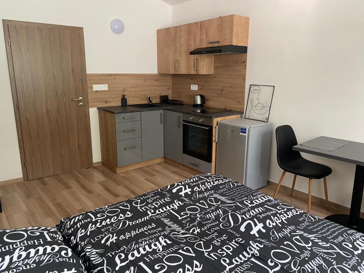 Cerna Ruze - Apartman 7 เปิลเซน ภายนอก รูปภาพ